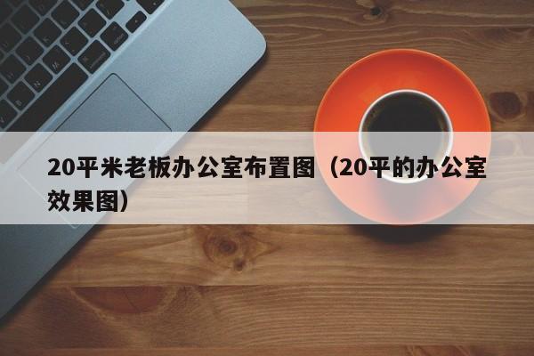 Kaiyun体育全站入口20平米老板办公室布置图（20平的办公室效果图）(图1)